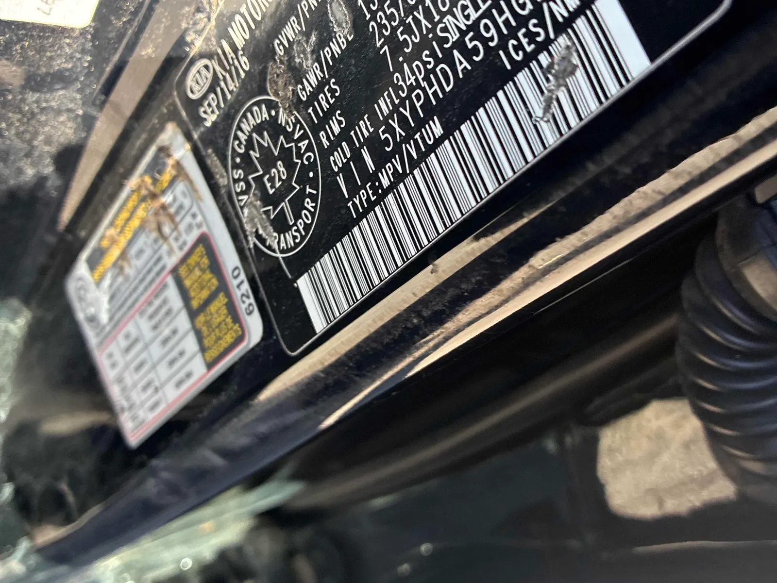 Additional Photo