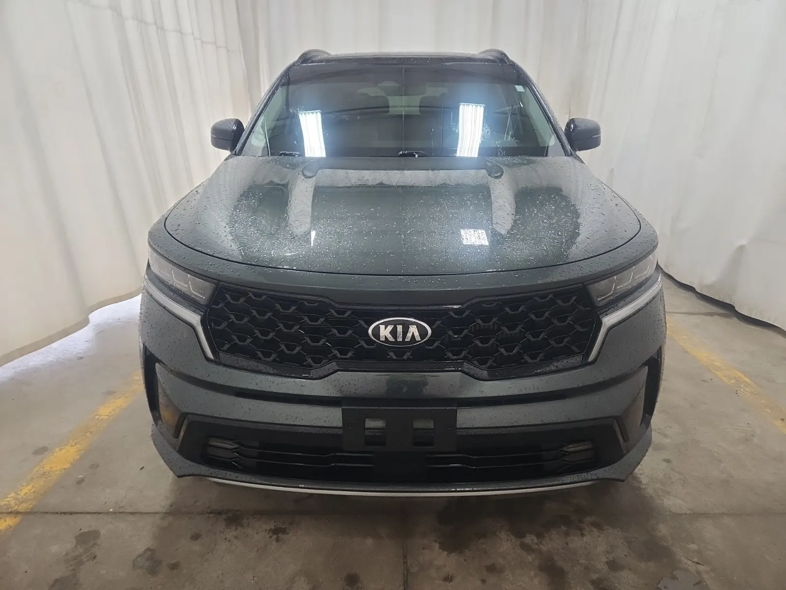 Full Front Photo