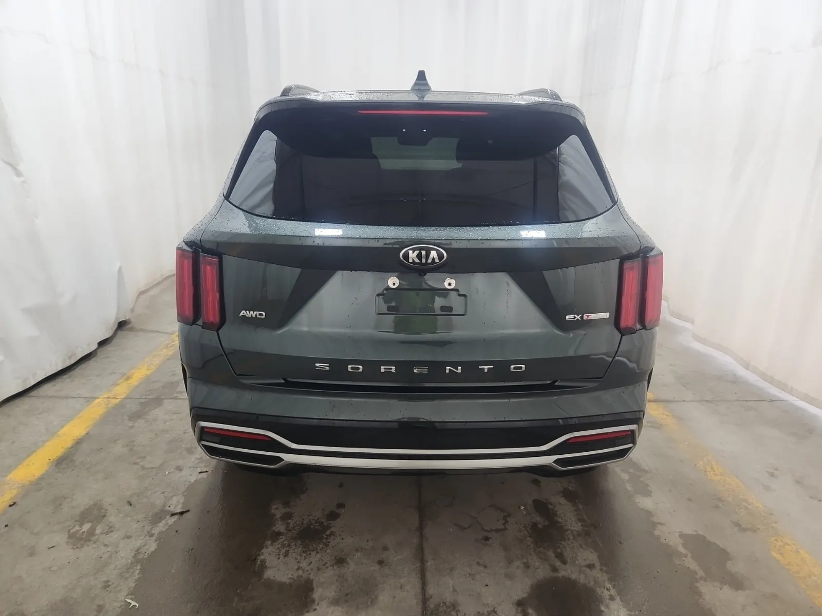 Full Rear Photo