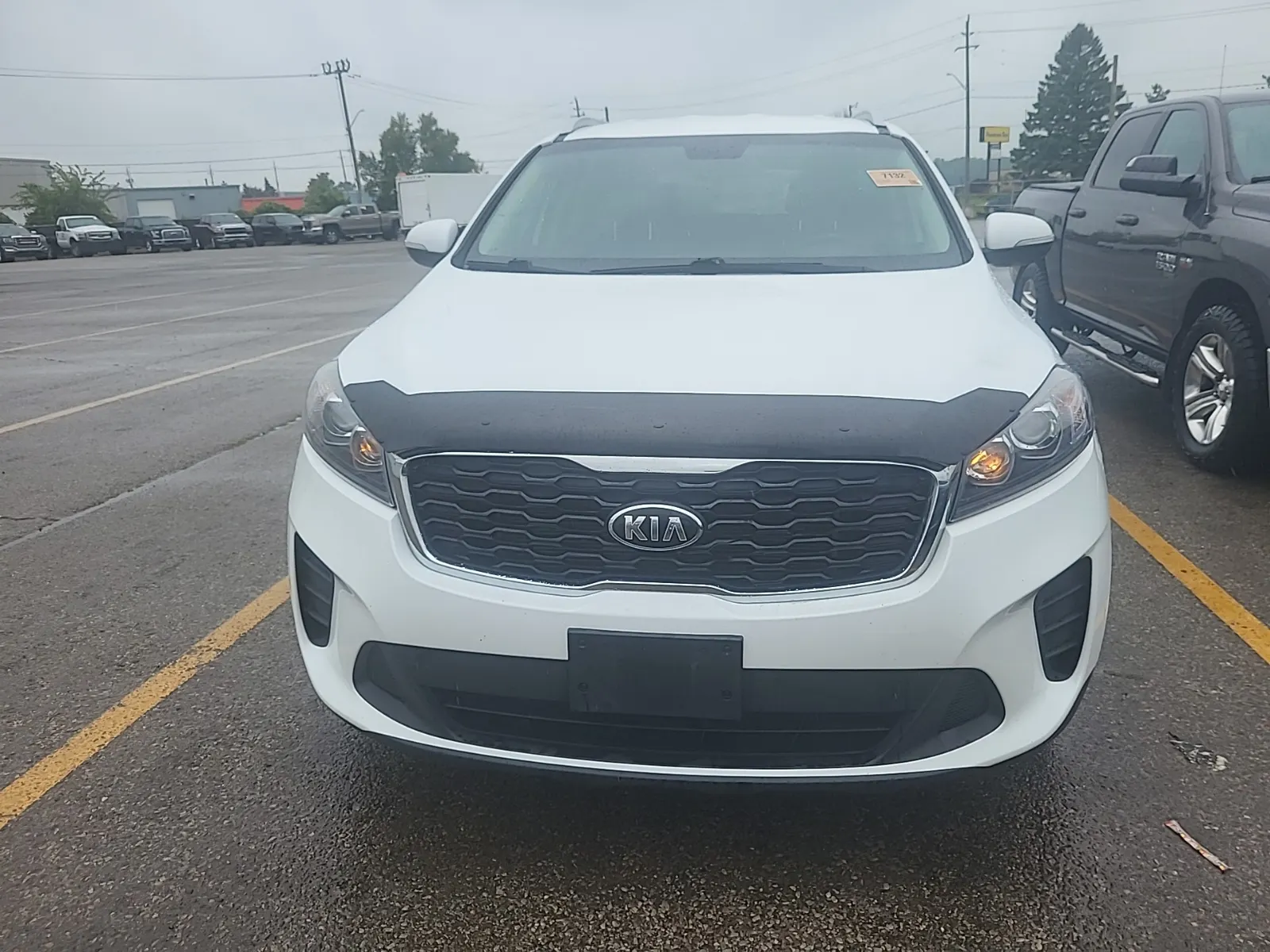 Full Front Photo