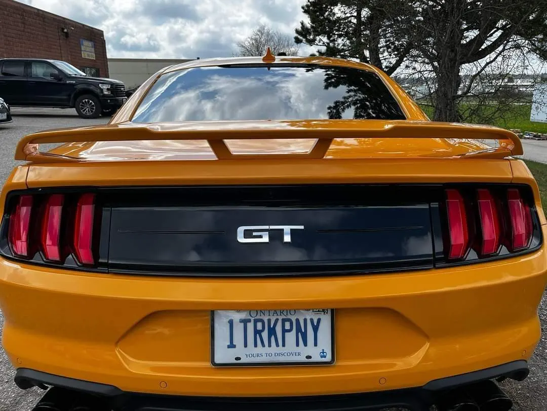 Back