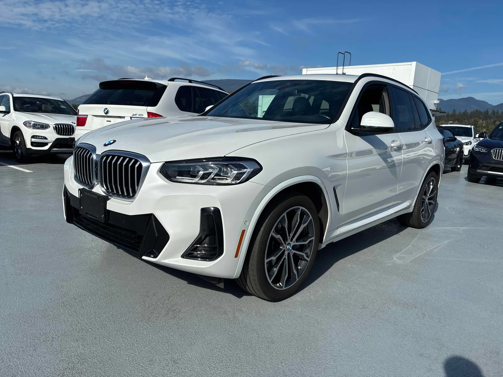 2022 BMW X3