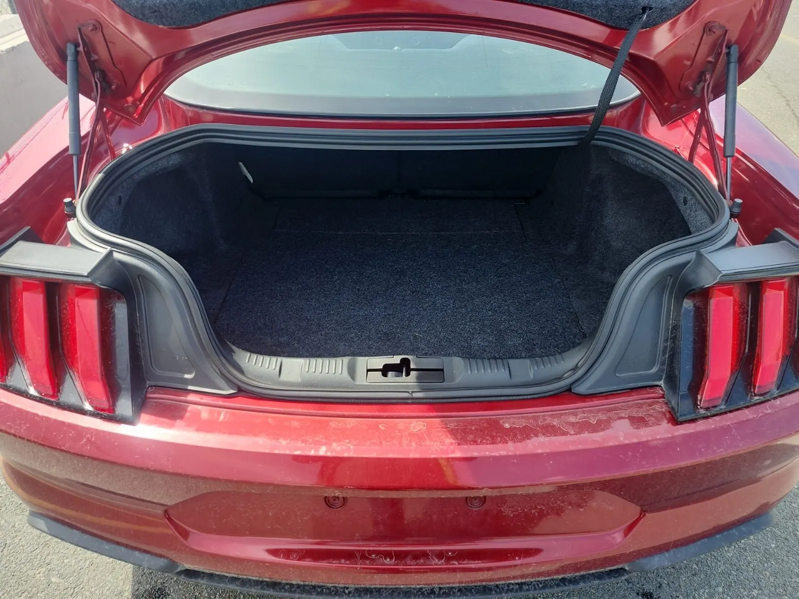 Cargo Area Photo