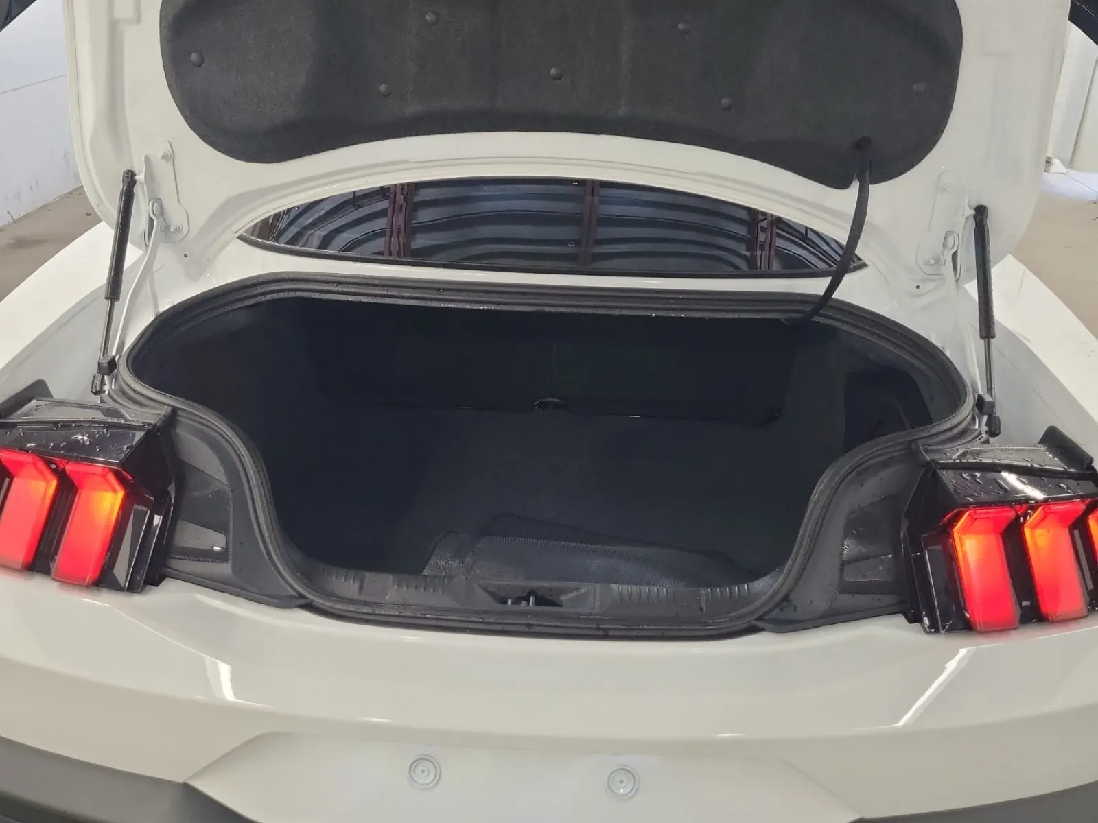 Cargo Area Photo