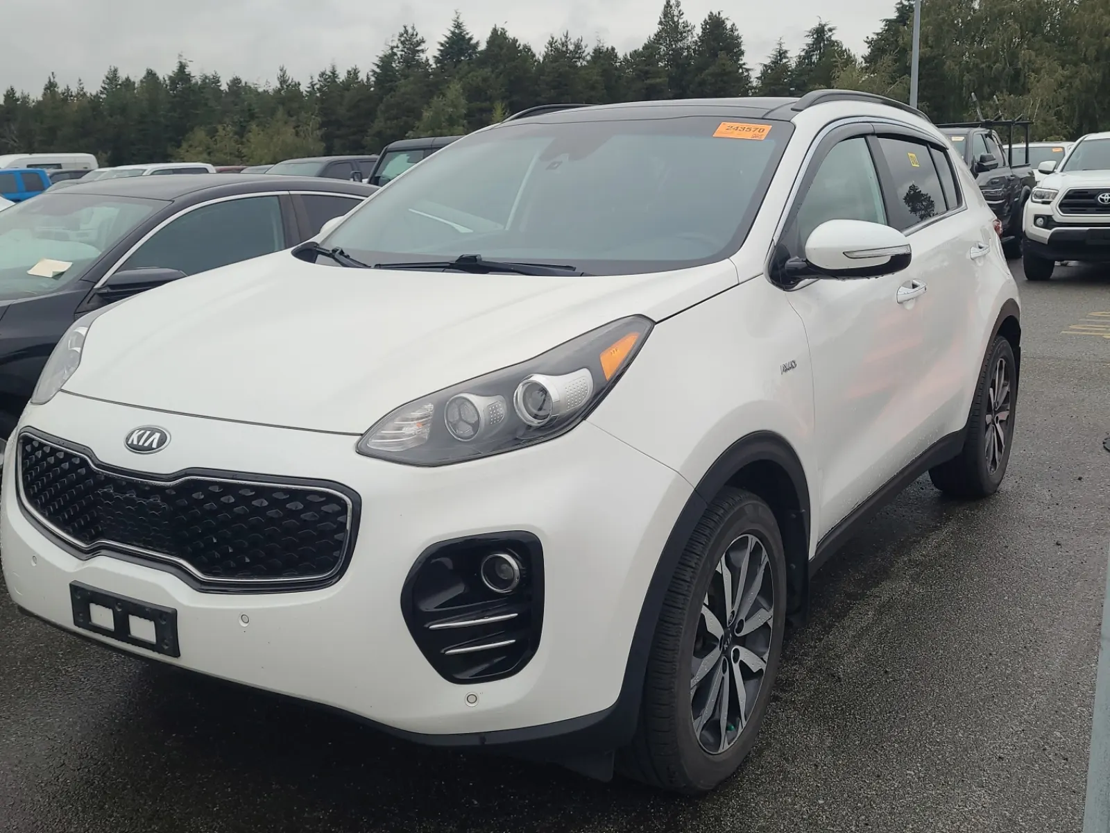 2019 Kia Sportage