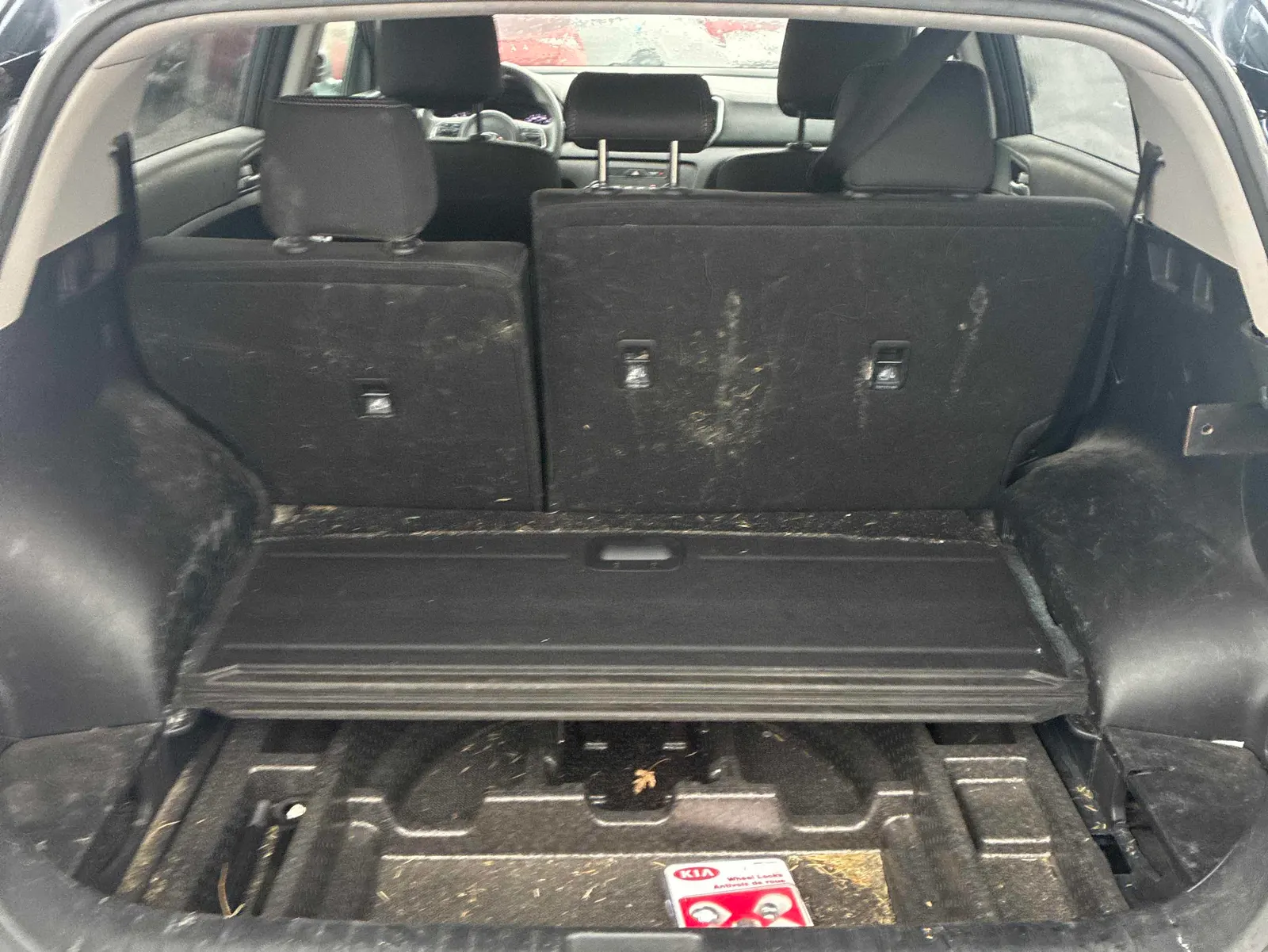 Additional Photo
