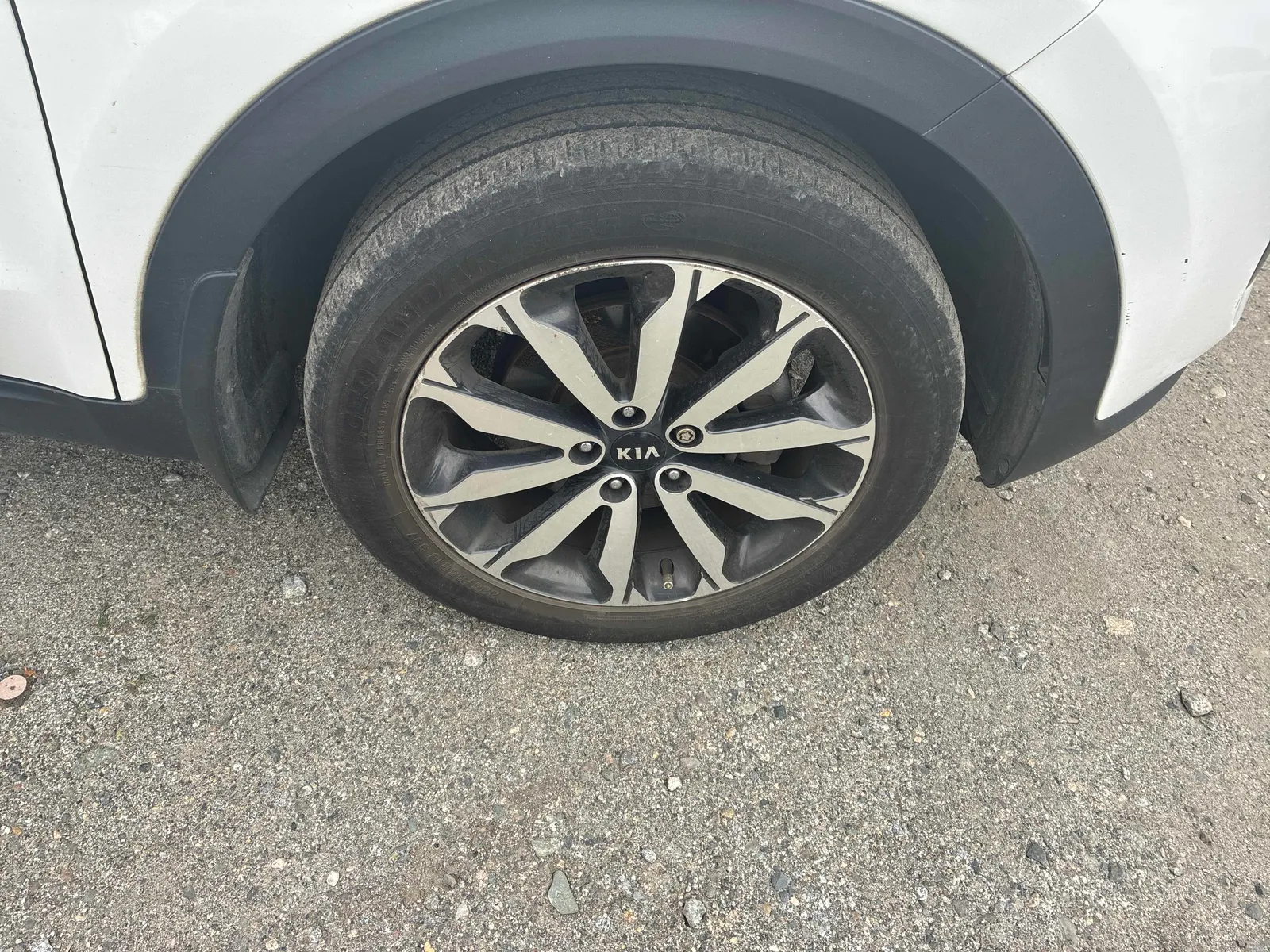 Tire