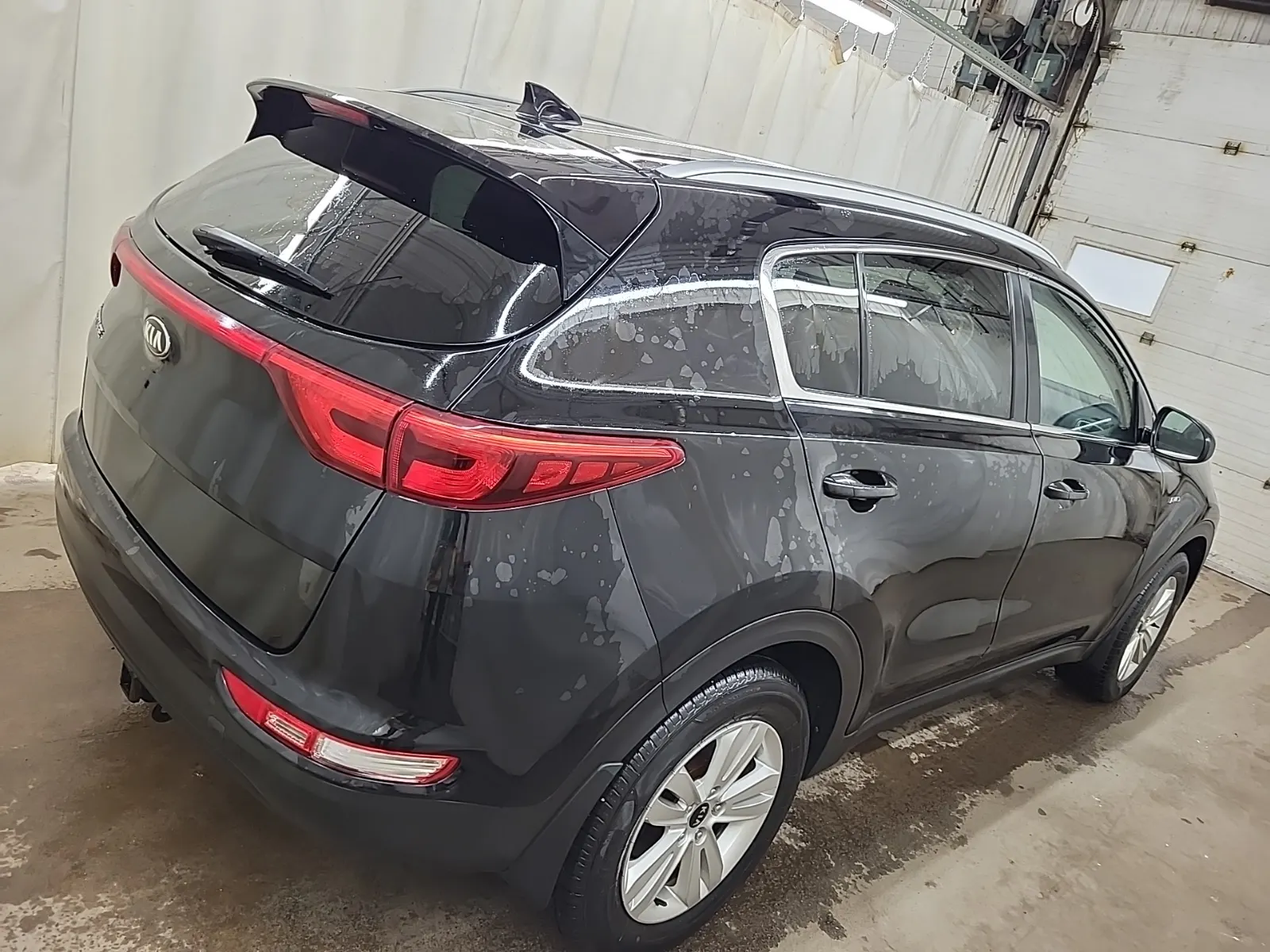 Passenger Rear 3/4 Photo