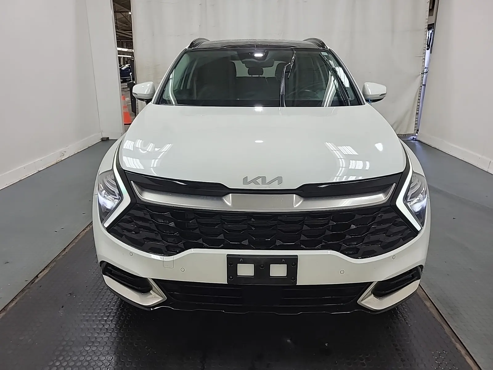 Full Front Photo