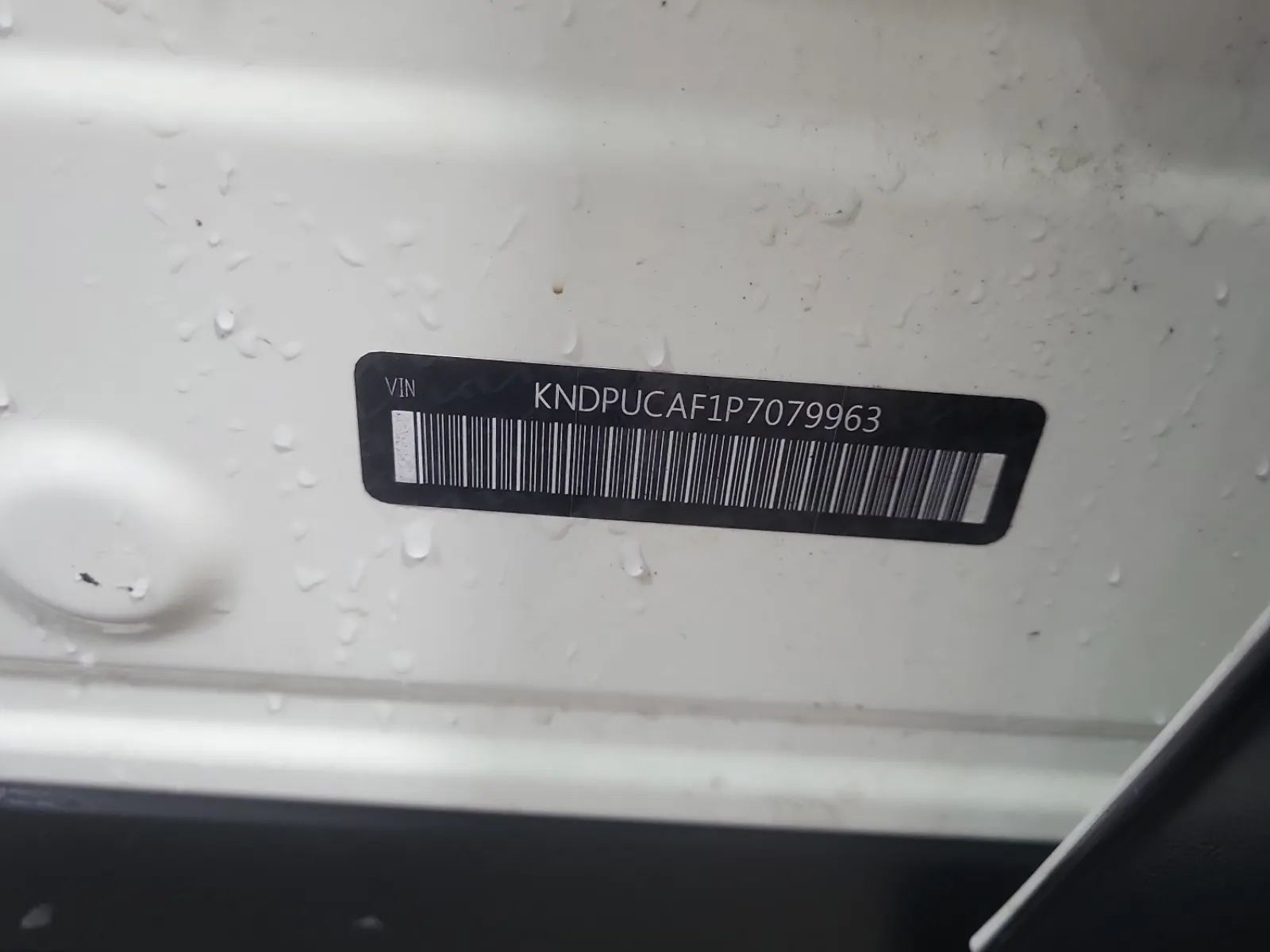 VIN Sticker Photo