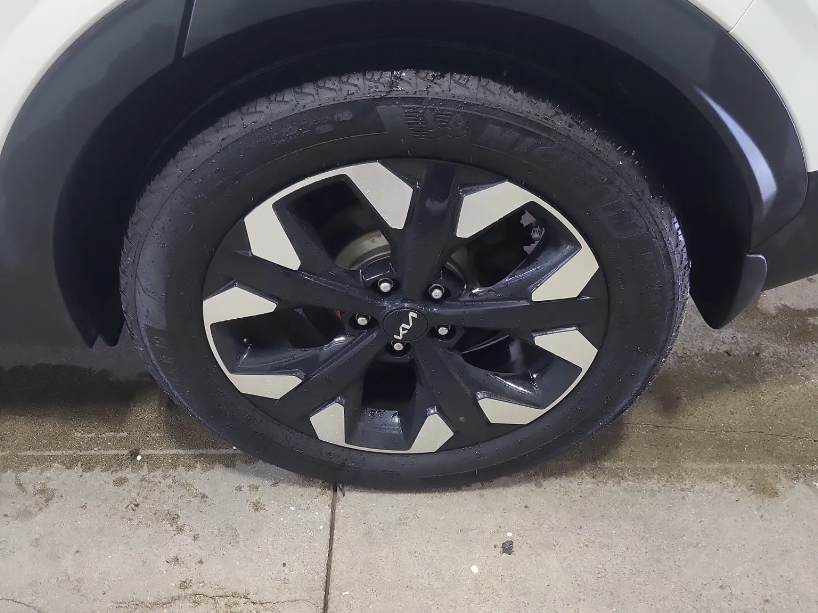 Left Rear Wheel/Tire Photo