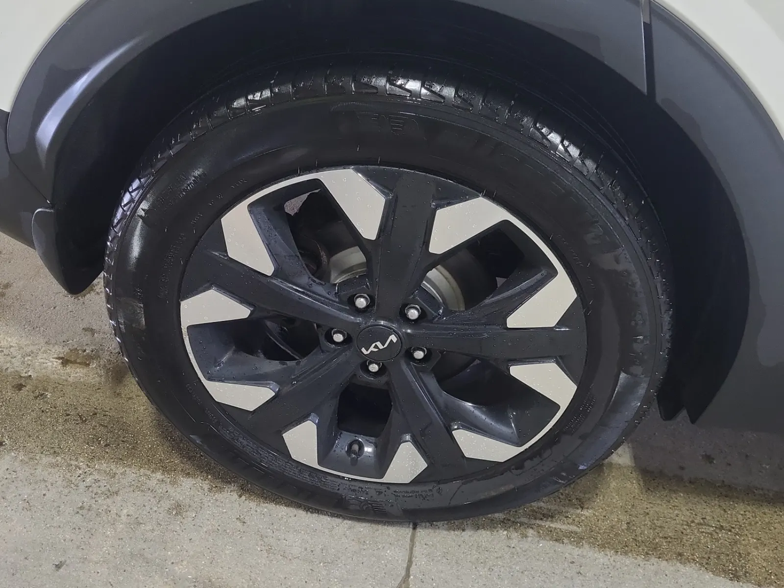 Right Rear Wheel/Tire Photo