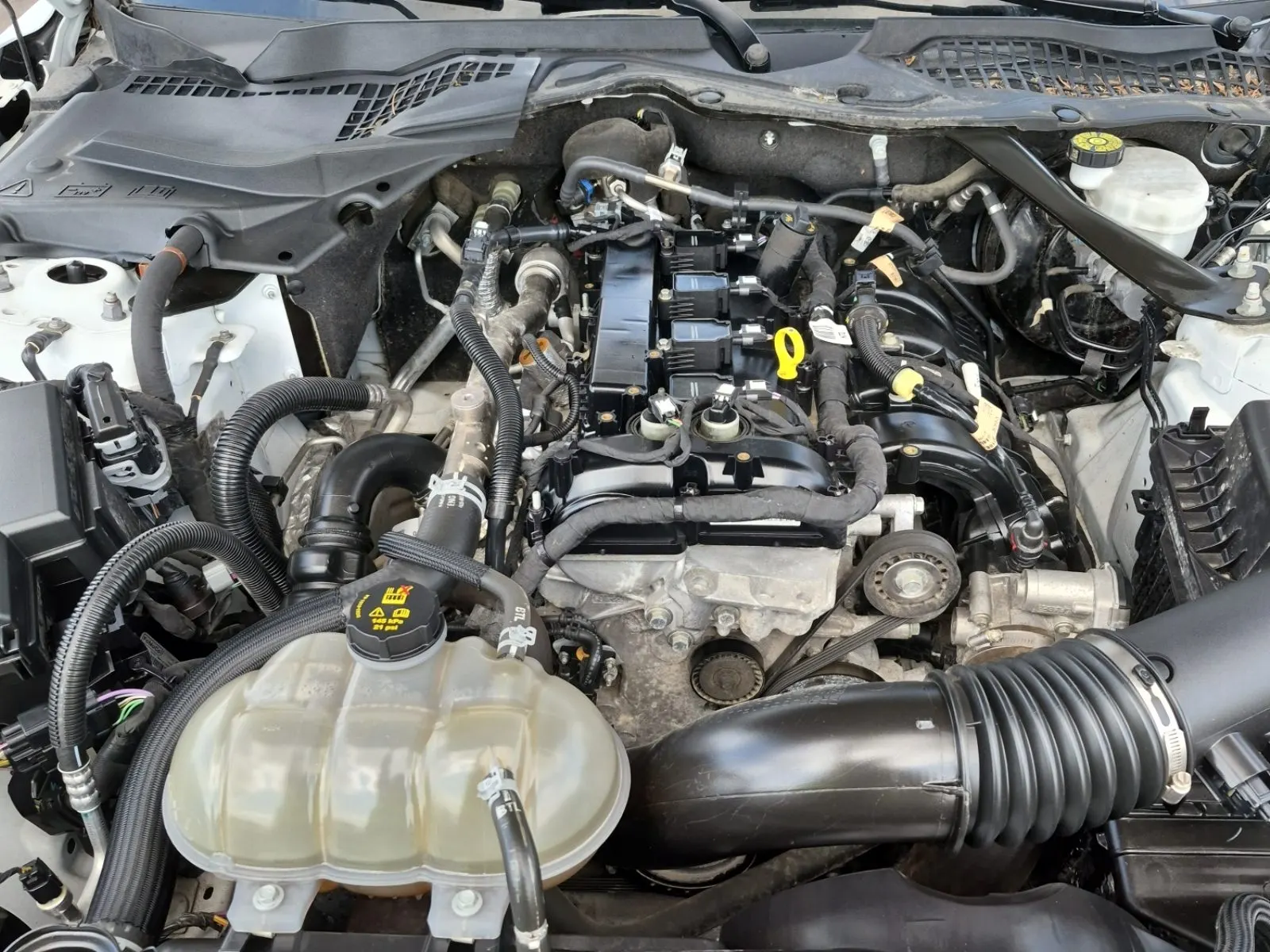 Engine Photo