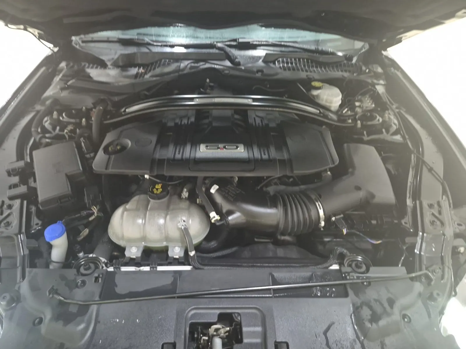 Engine Photo