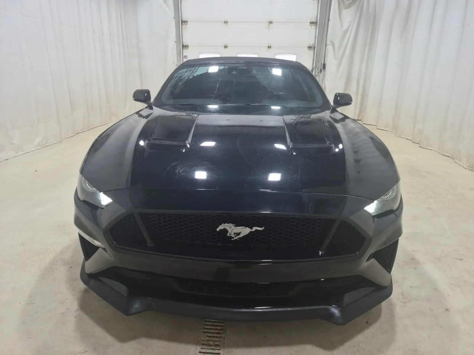 Full Front Photo