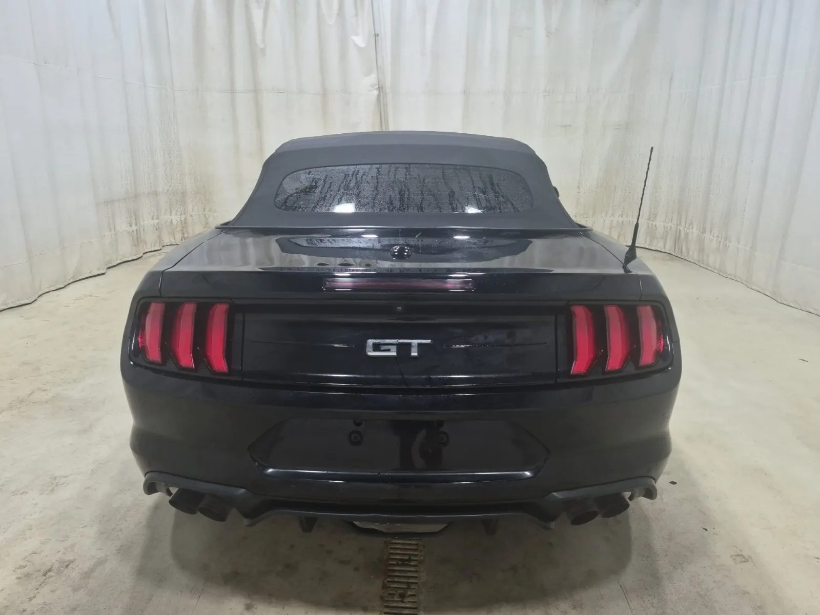 Full Rear Photo