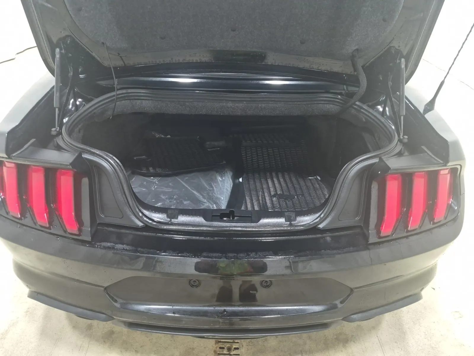 Cargo Area Photo