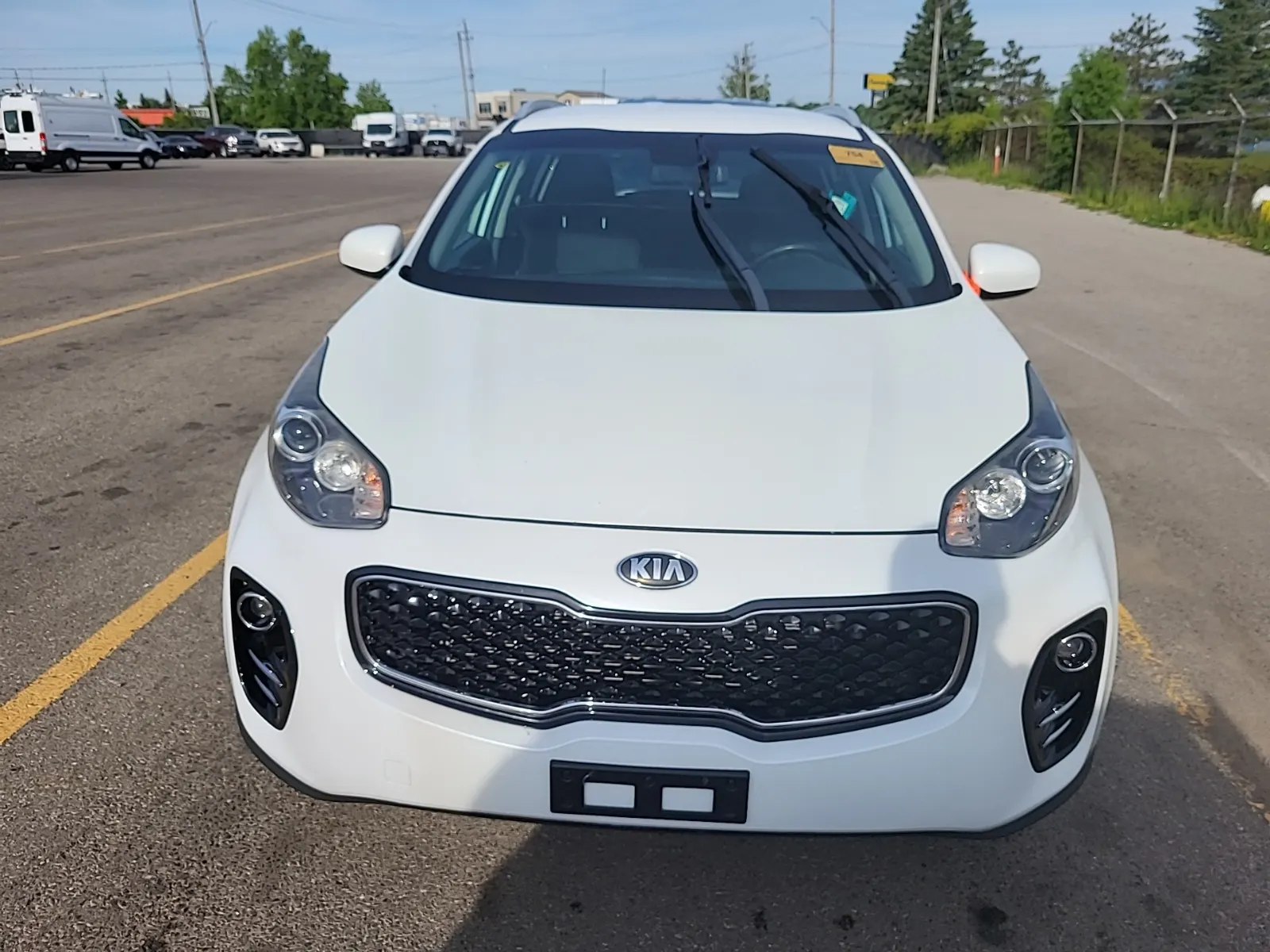 Full Front Photo