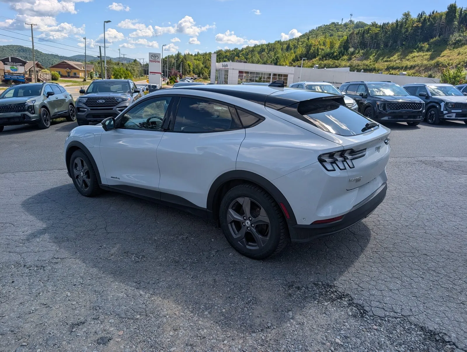 Additional Photo