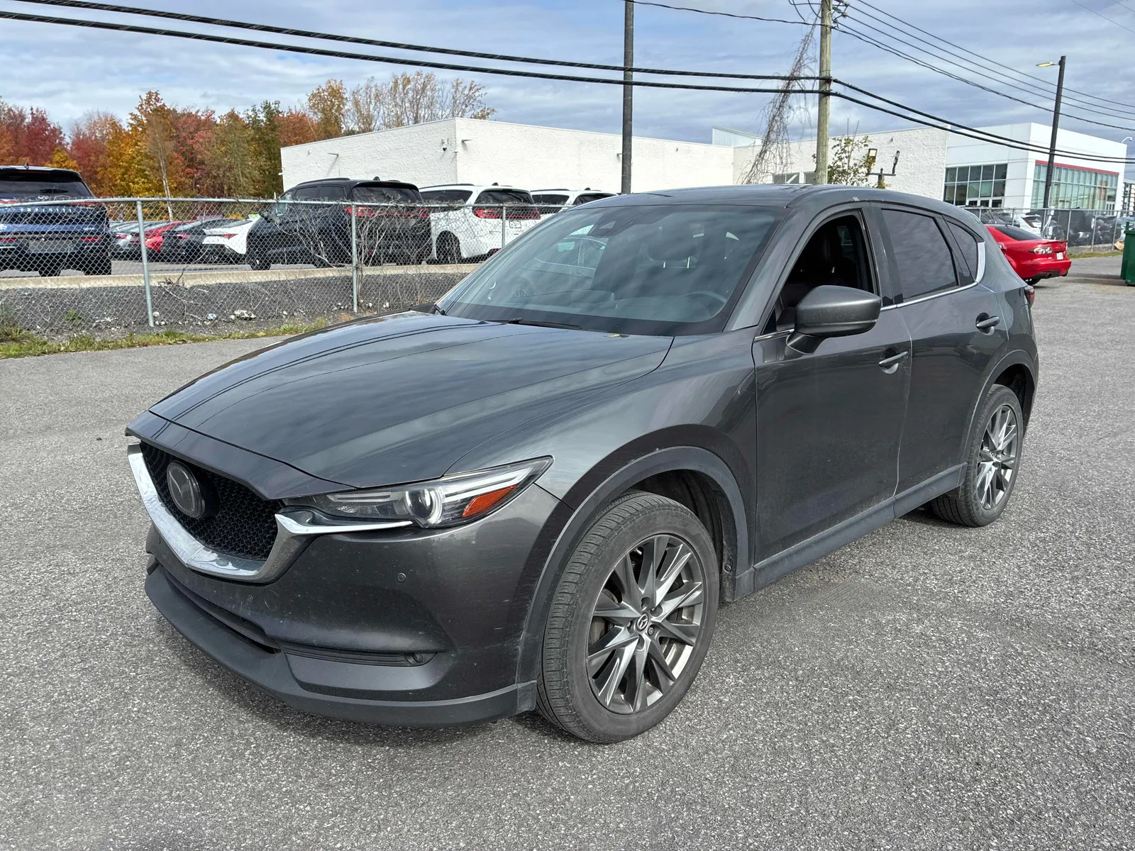 3/4 Front (Main image)