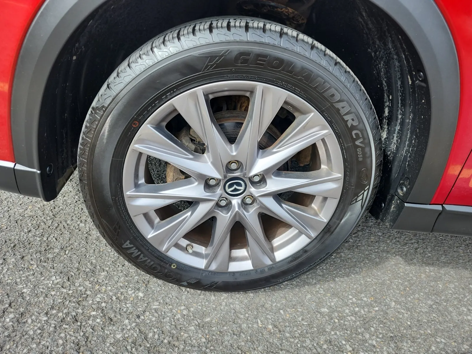 Tire