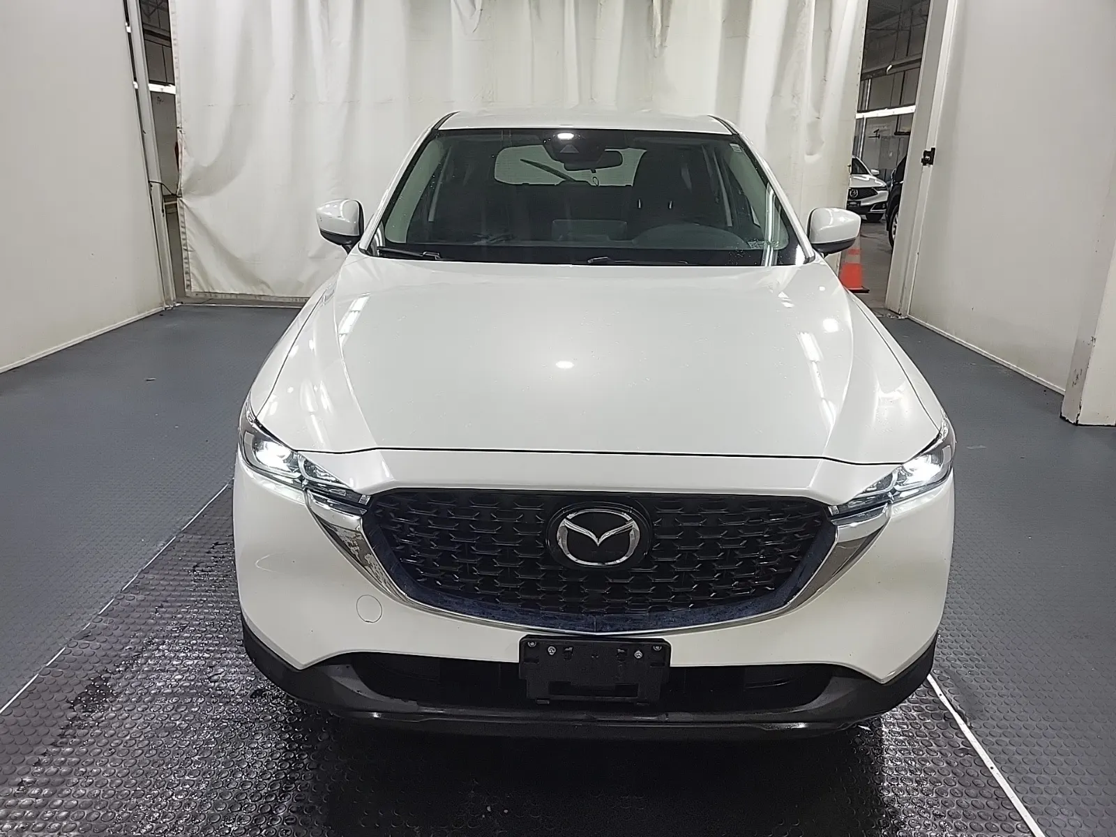 Full Front Photo