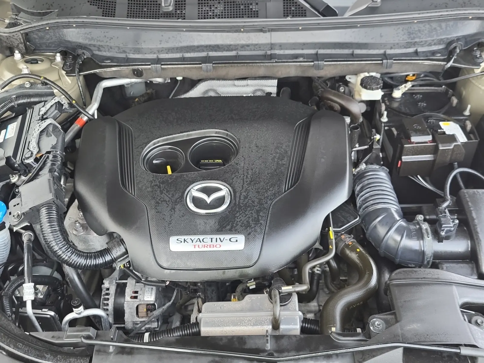 Engine Photo