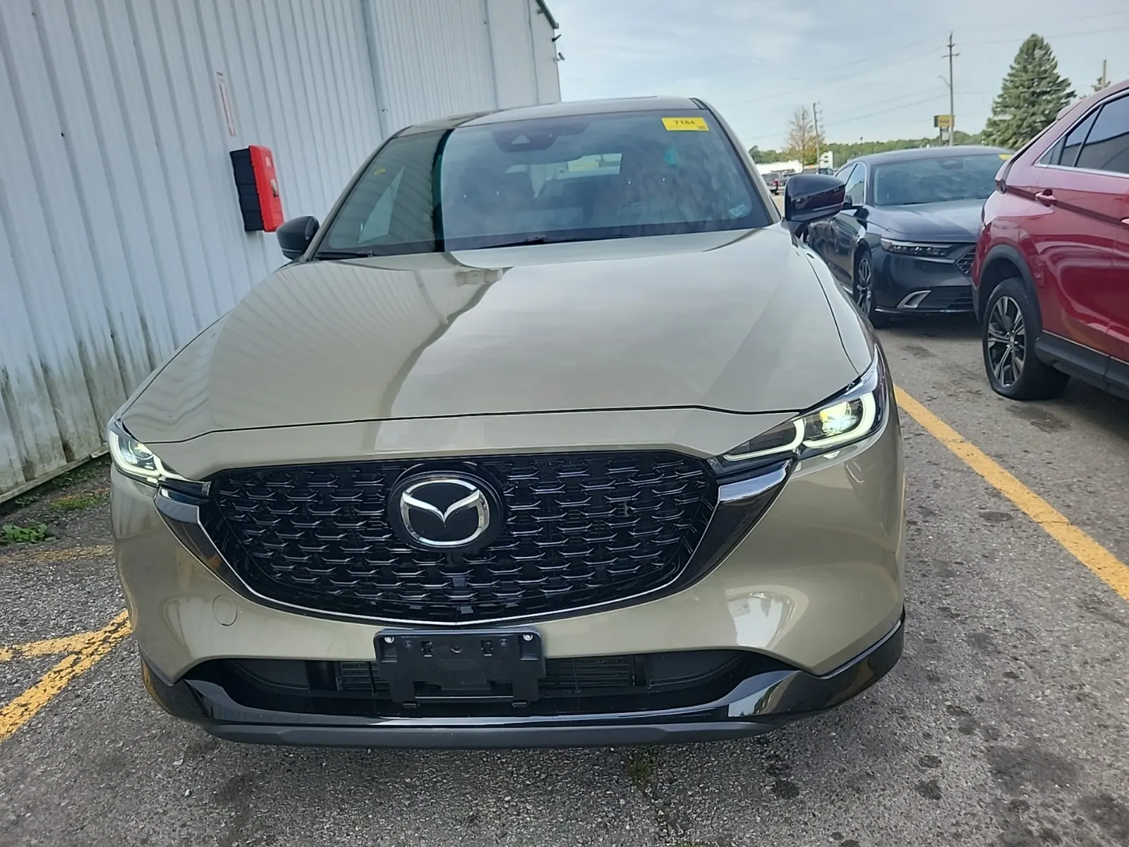 Full Front Photo