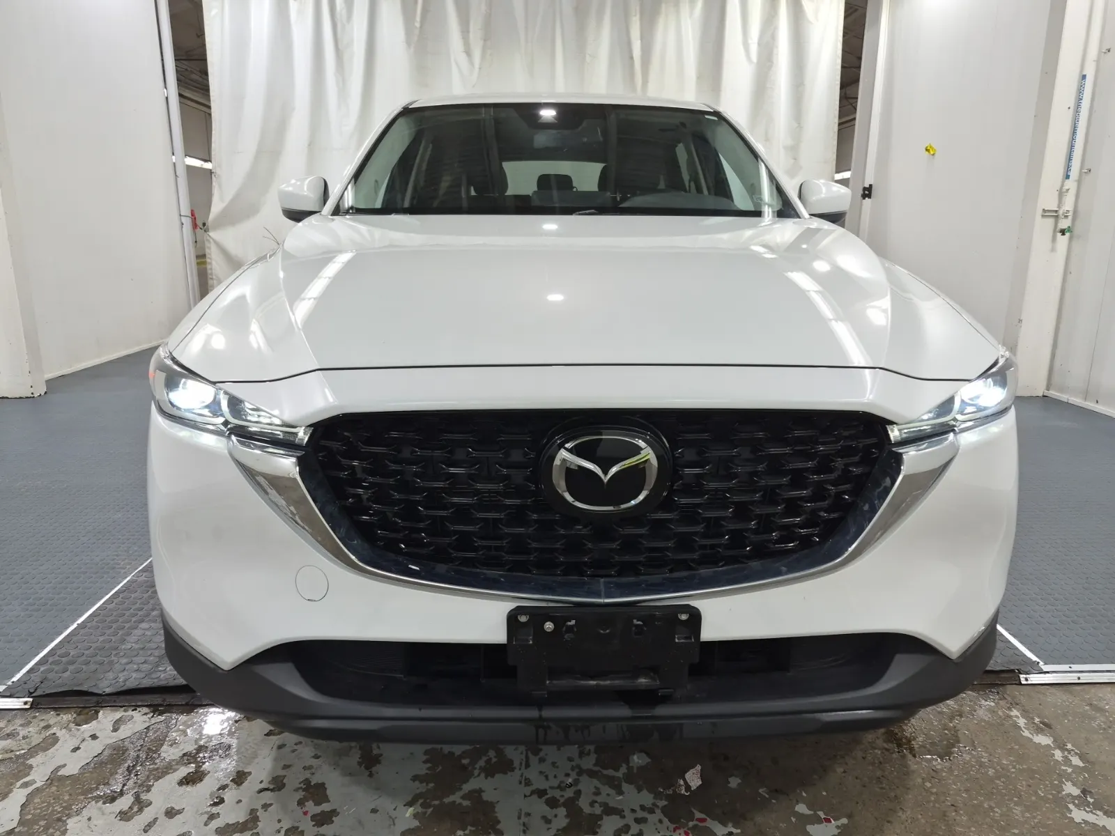 Full Front Photo