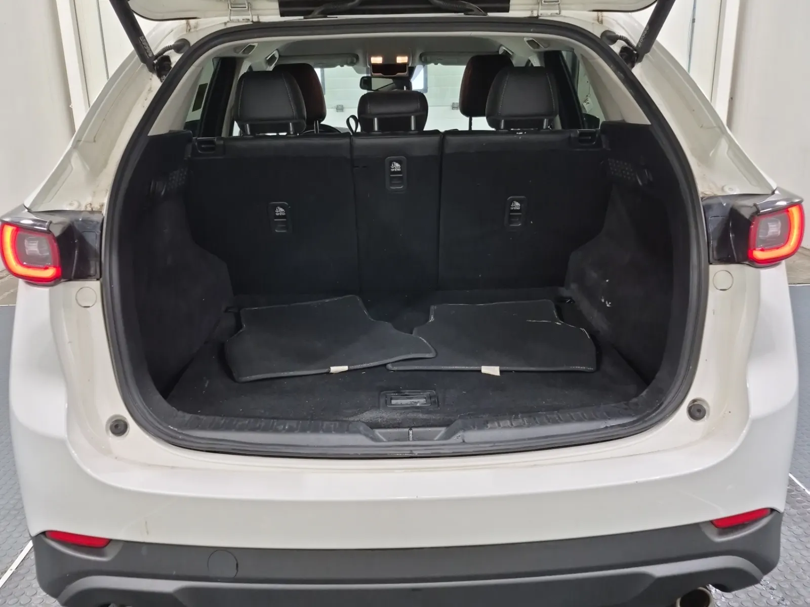 Cargo Area Photo