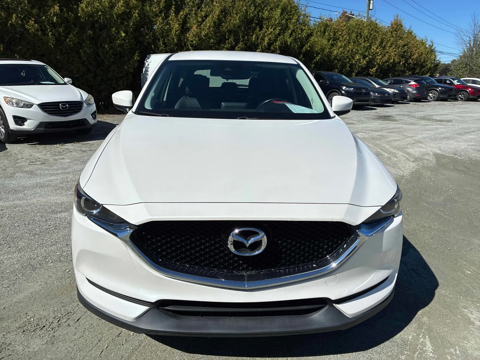 Front