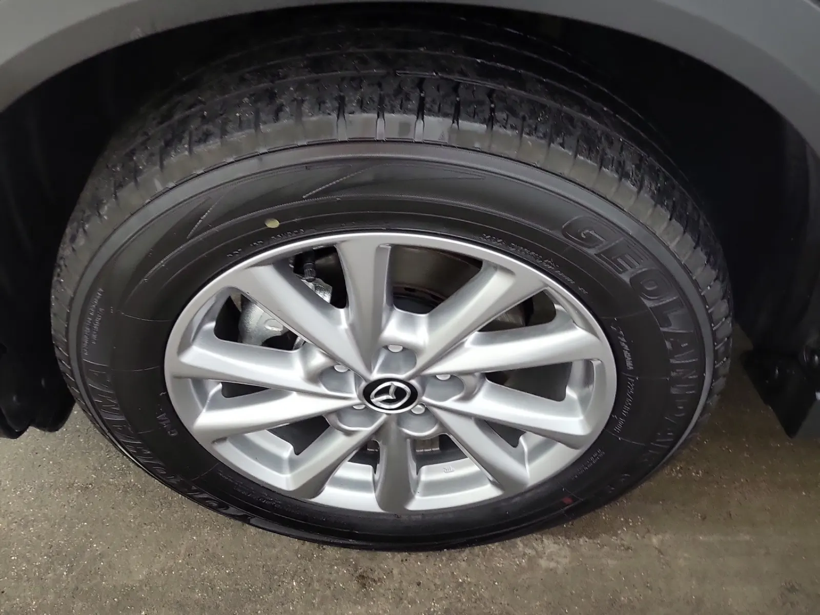 Tire