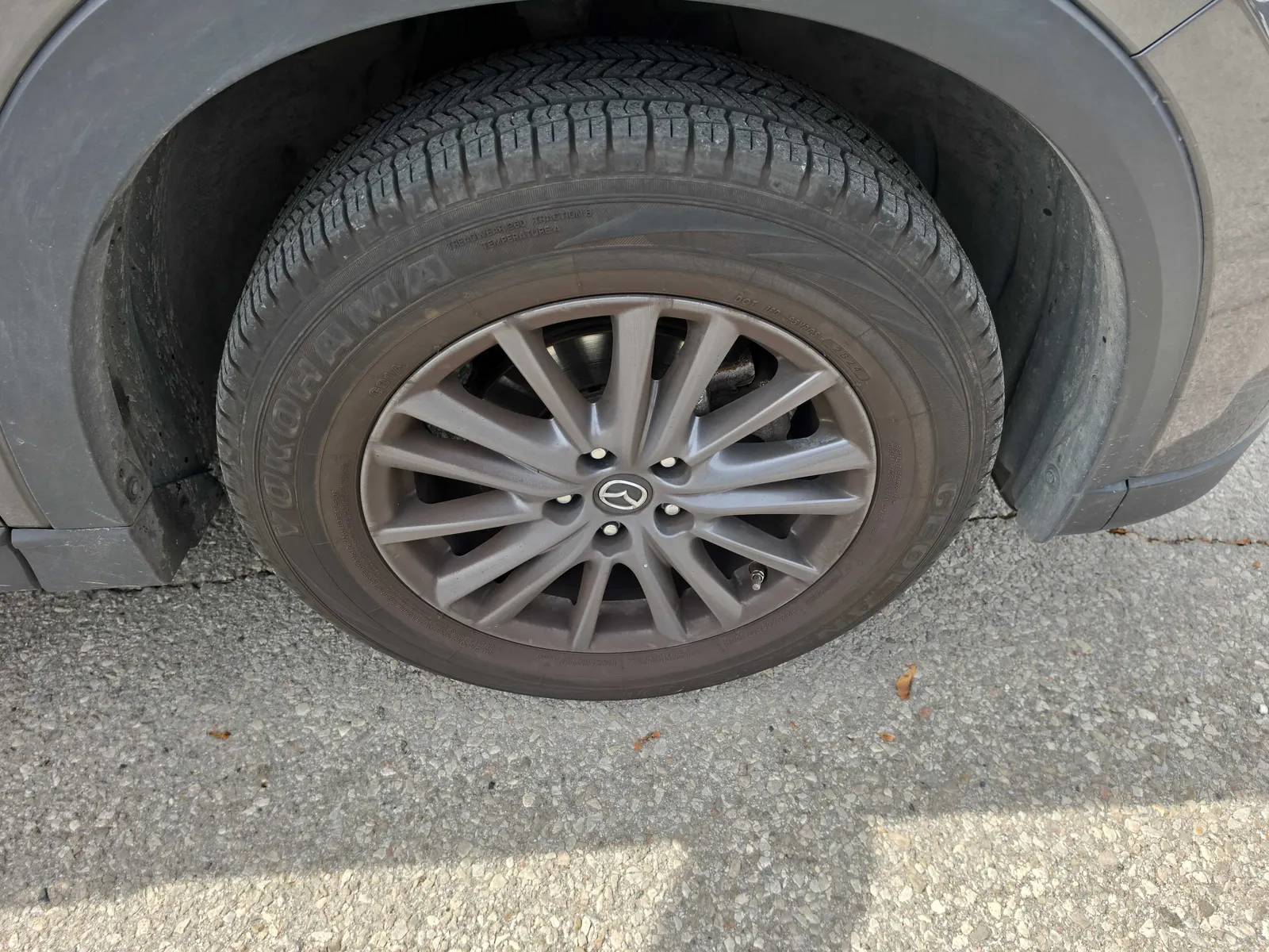 Tire