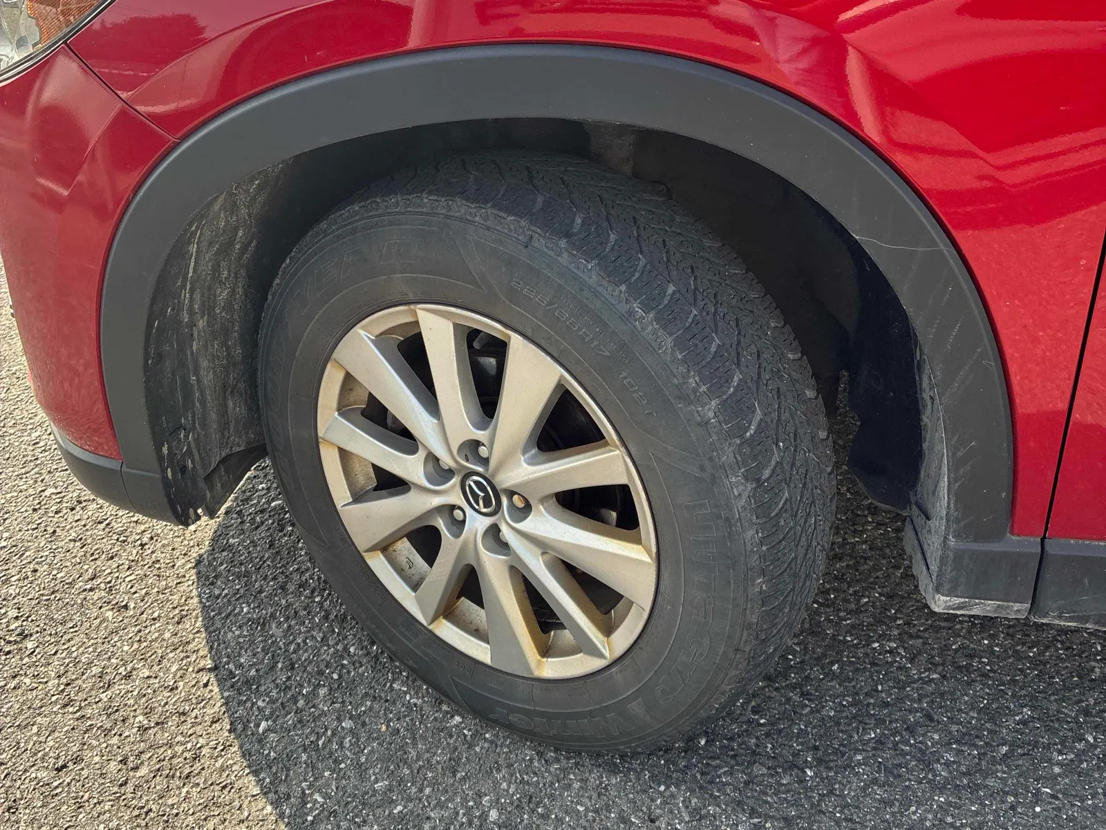 Tire