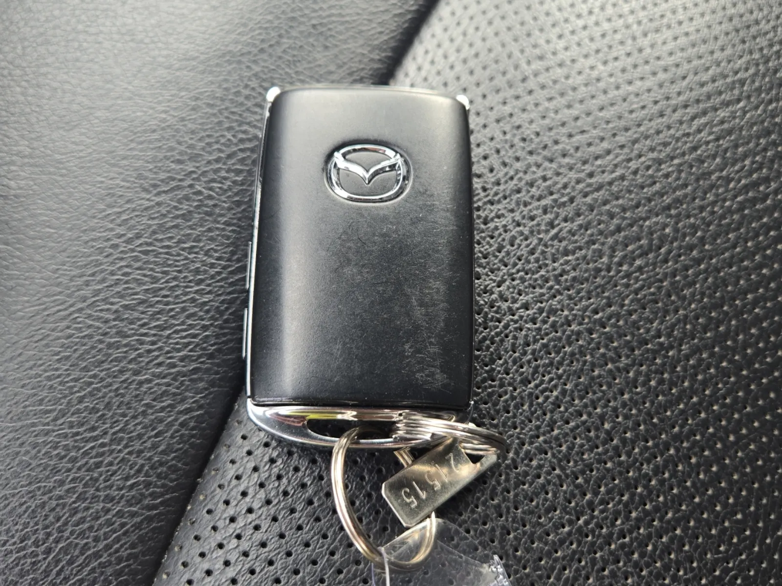 Keys/Fobs/Manual Photo