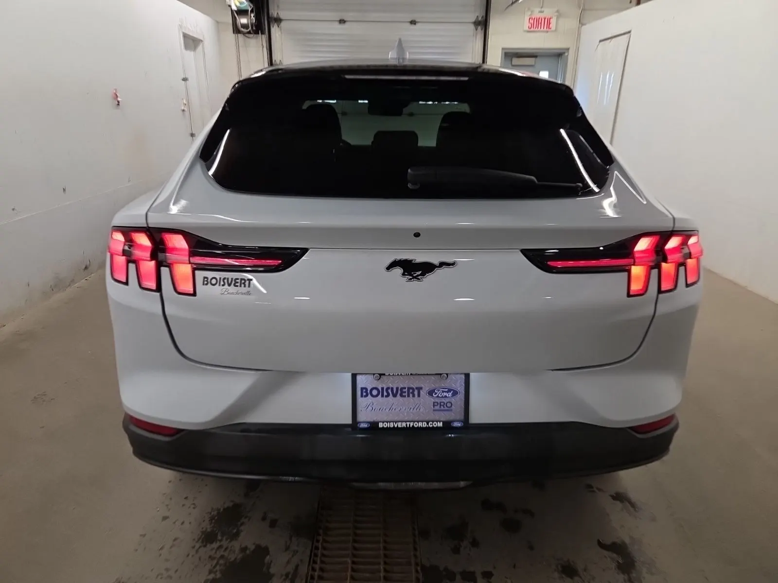 Full Rear Photo