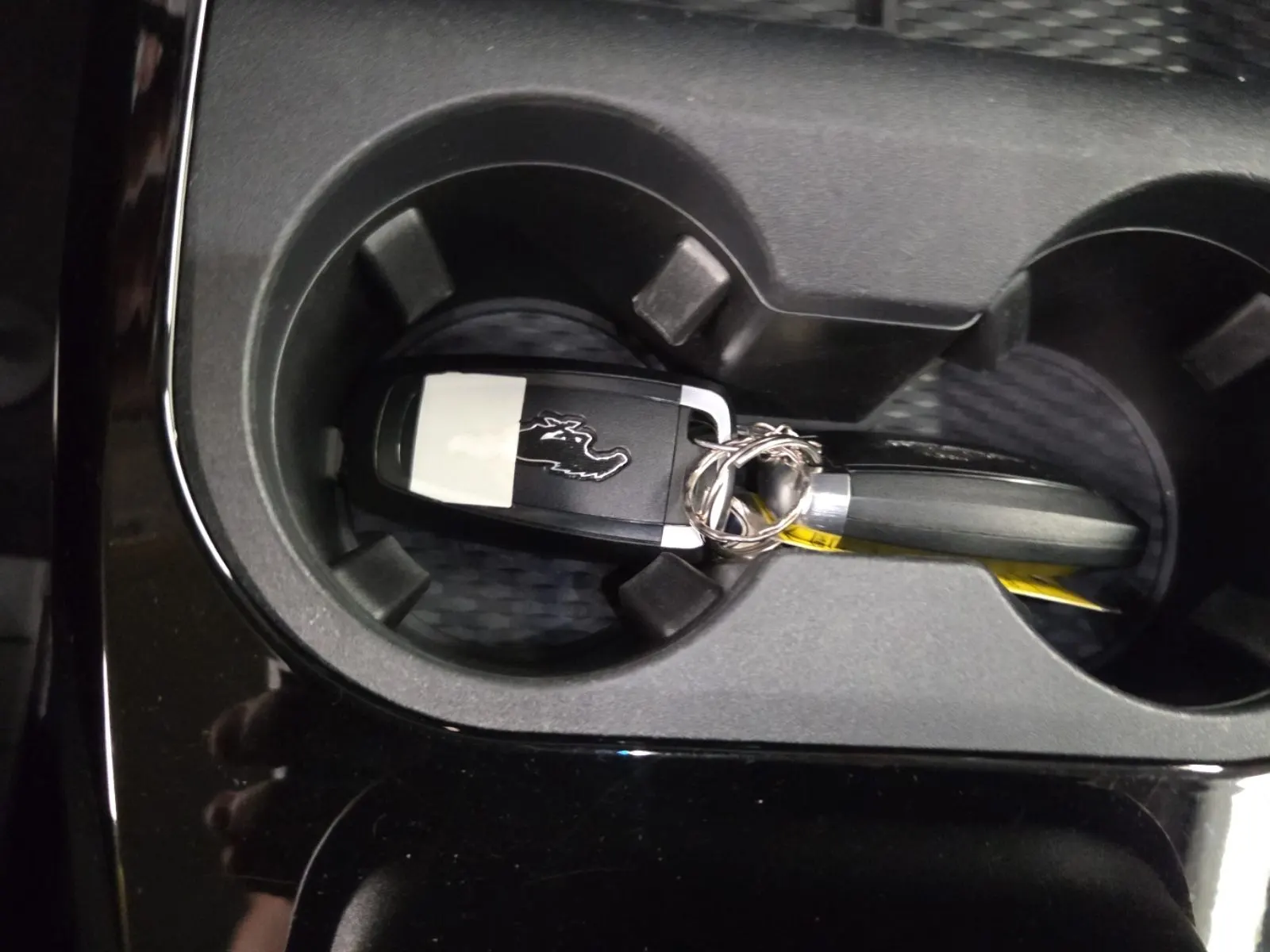 Keys/Fobs/Manual Photo