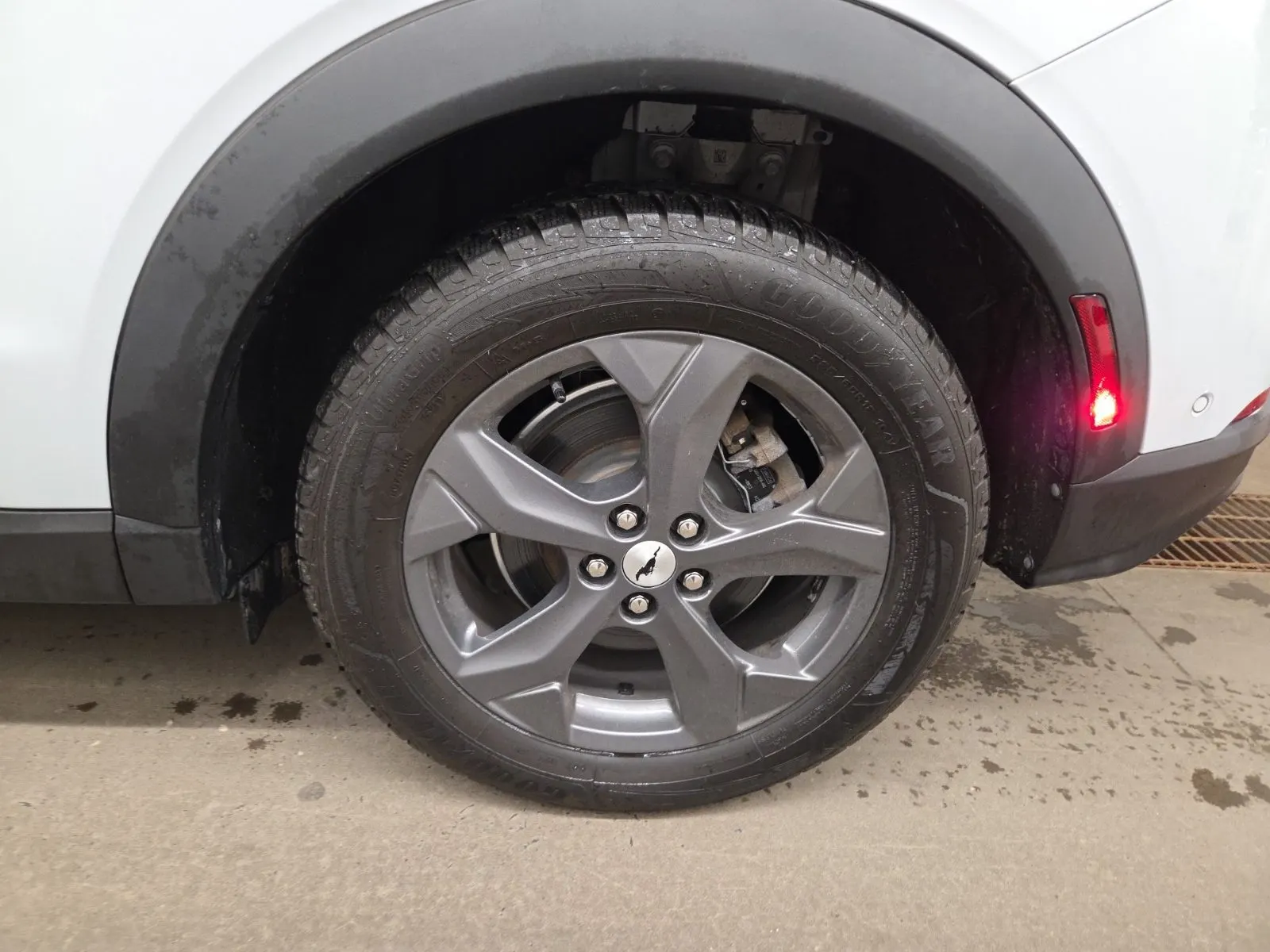 Left Rear Wheel/Tire Photo