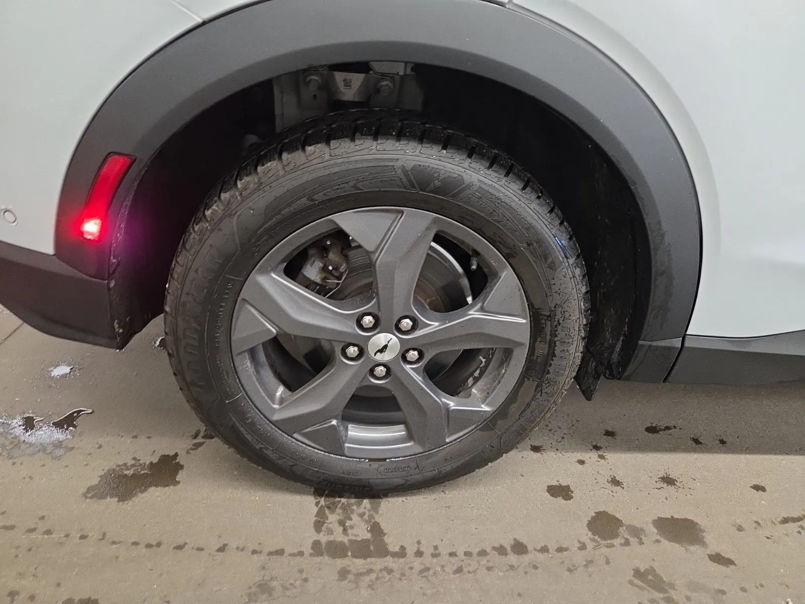 Right Rear Wheel/Tire Photo