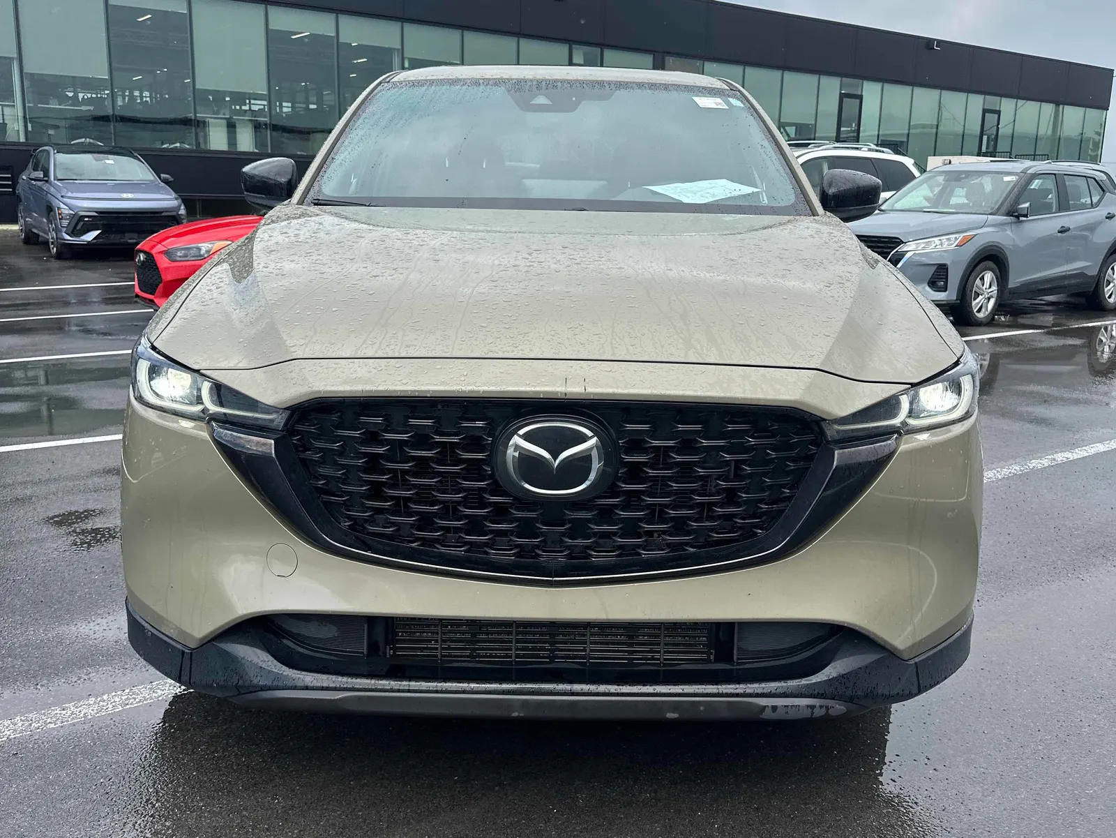 Front