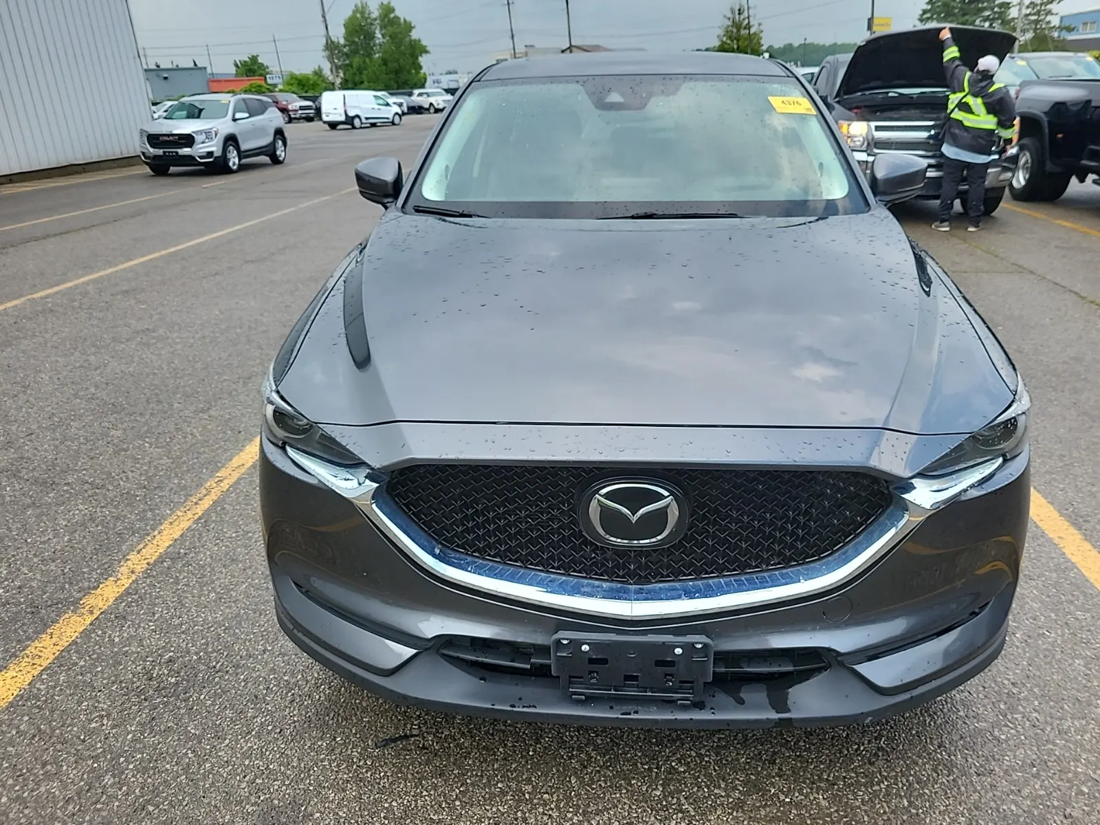 Full Front Photo