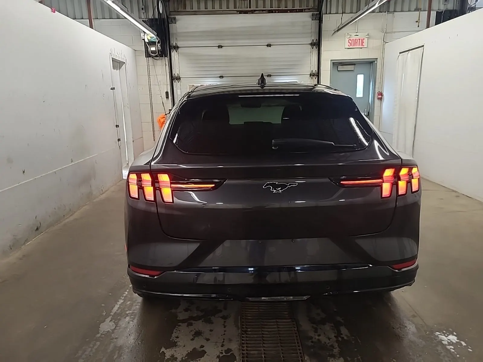 Full Rear Photo
