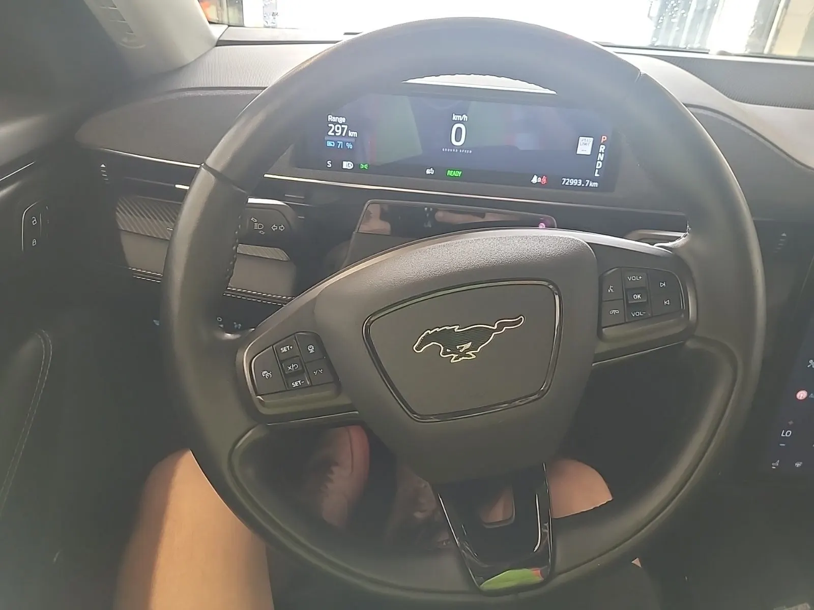 Steering Wheel