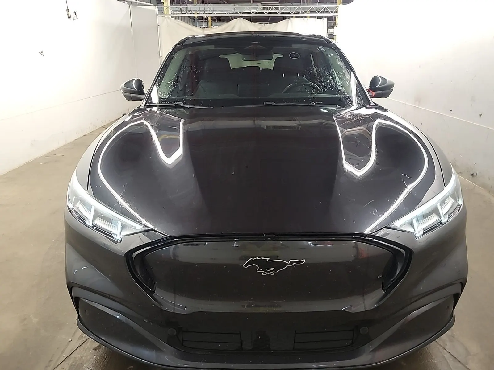Full Front Photo