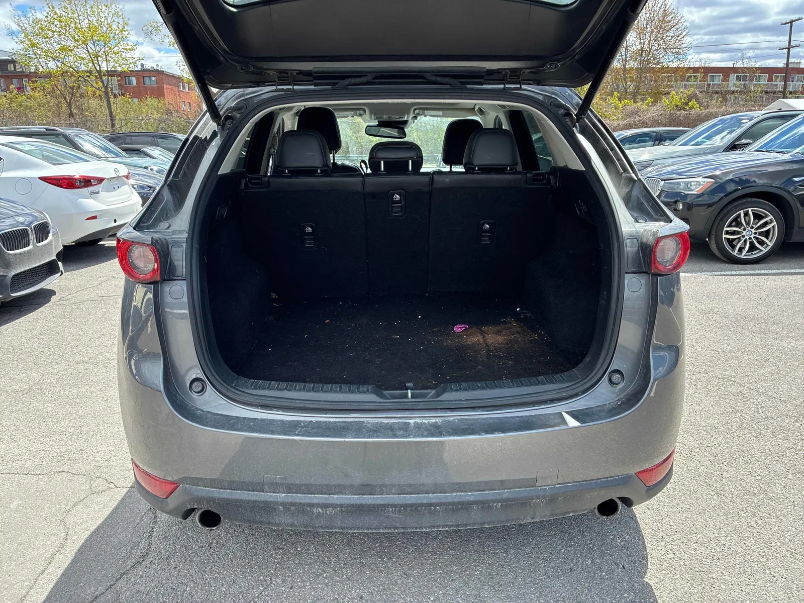 Additional Photo