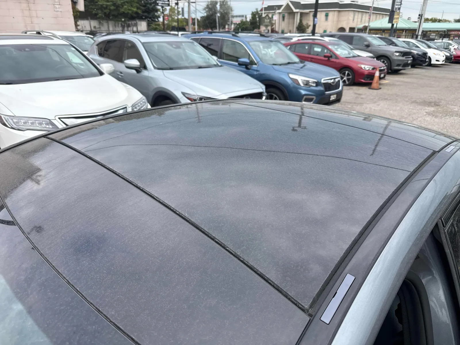 Additional Photo