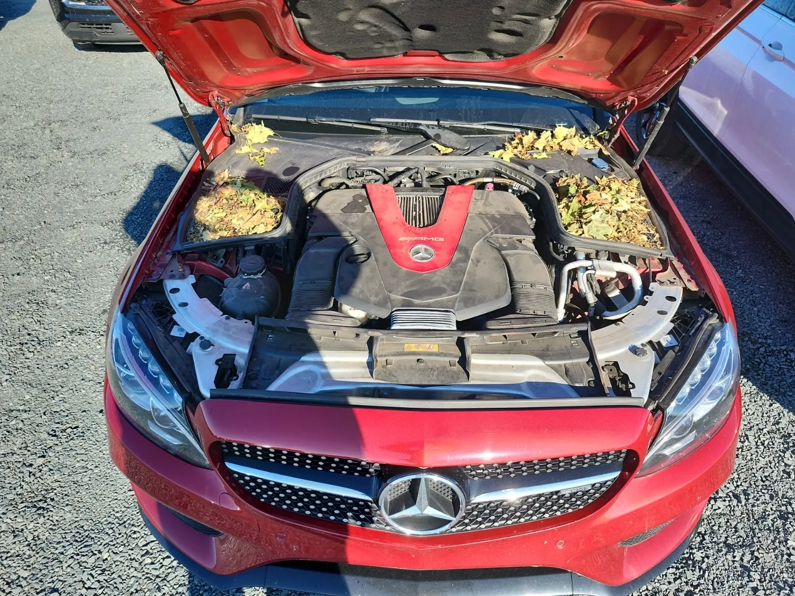 Engine Photo