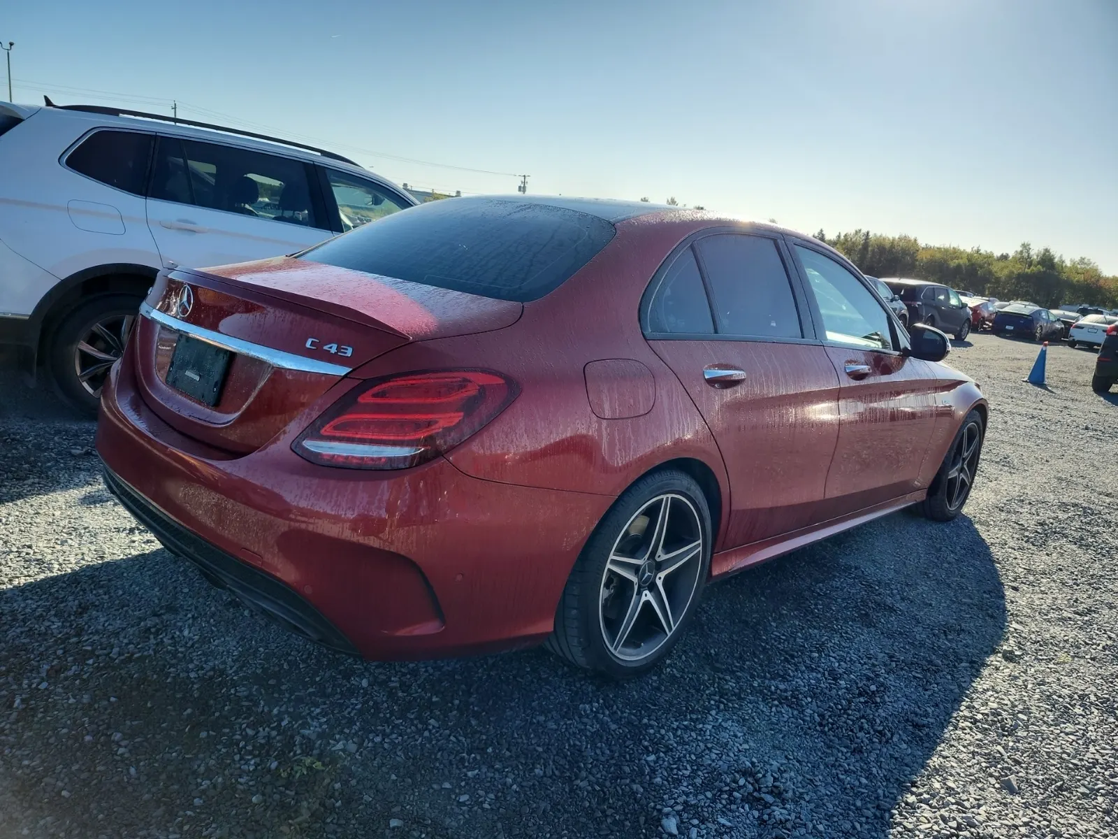 Passenger Rear 3/4 Photo