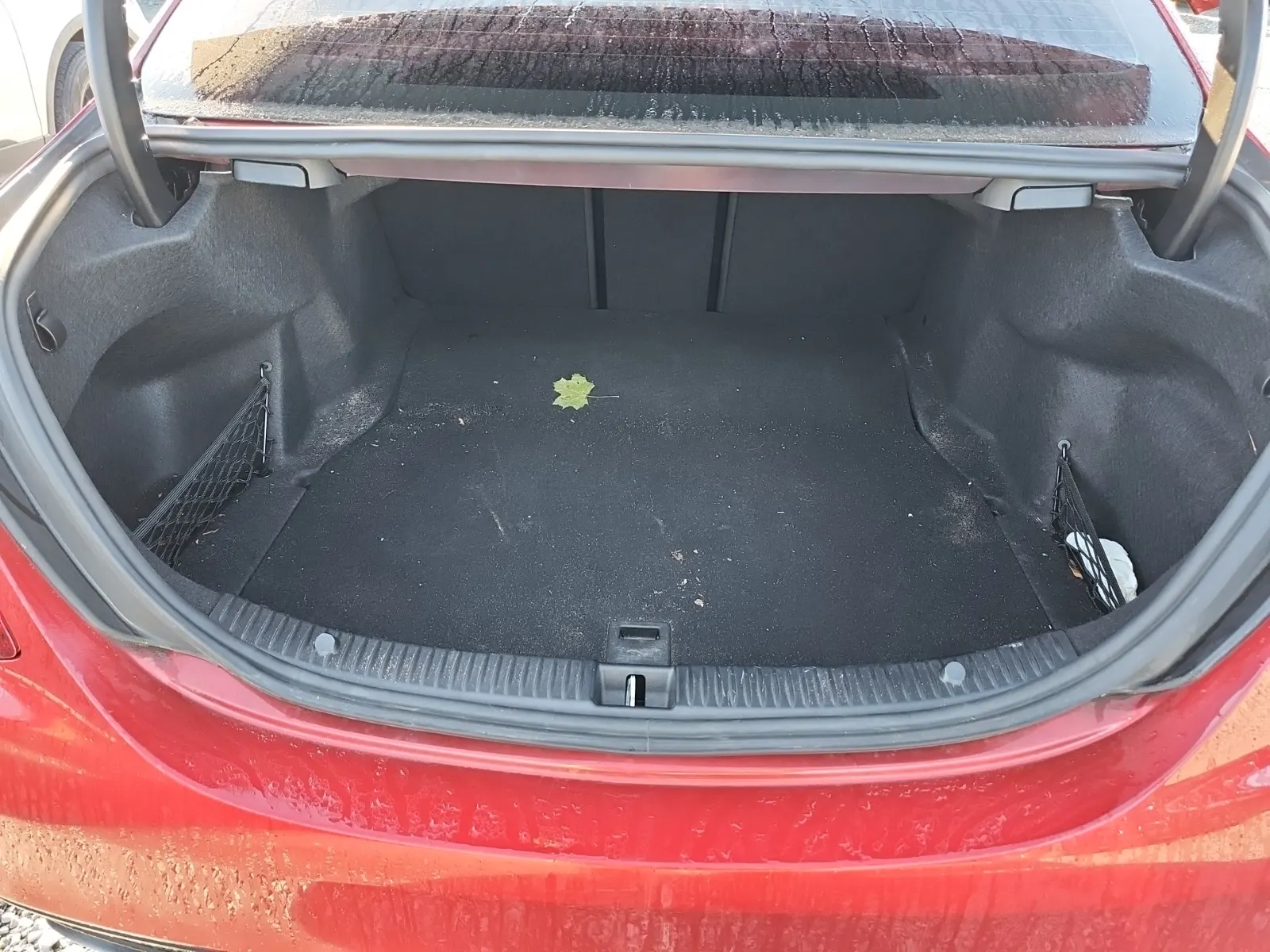 Cargo Area Photo