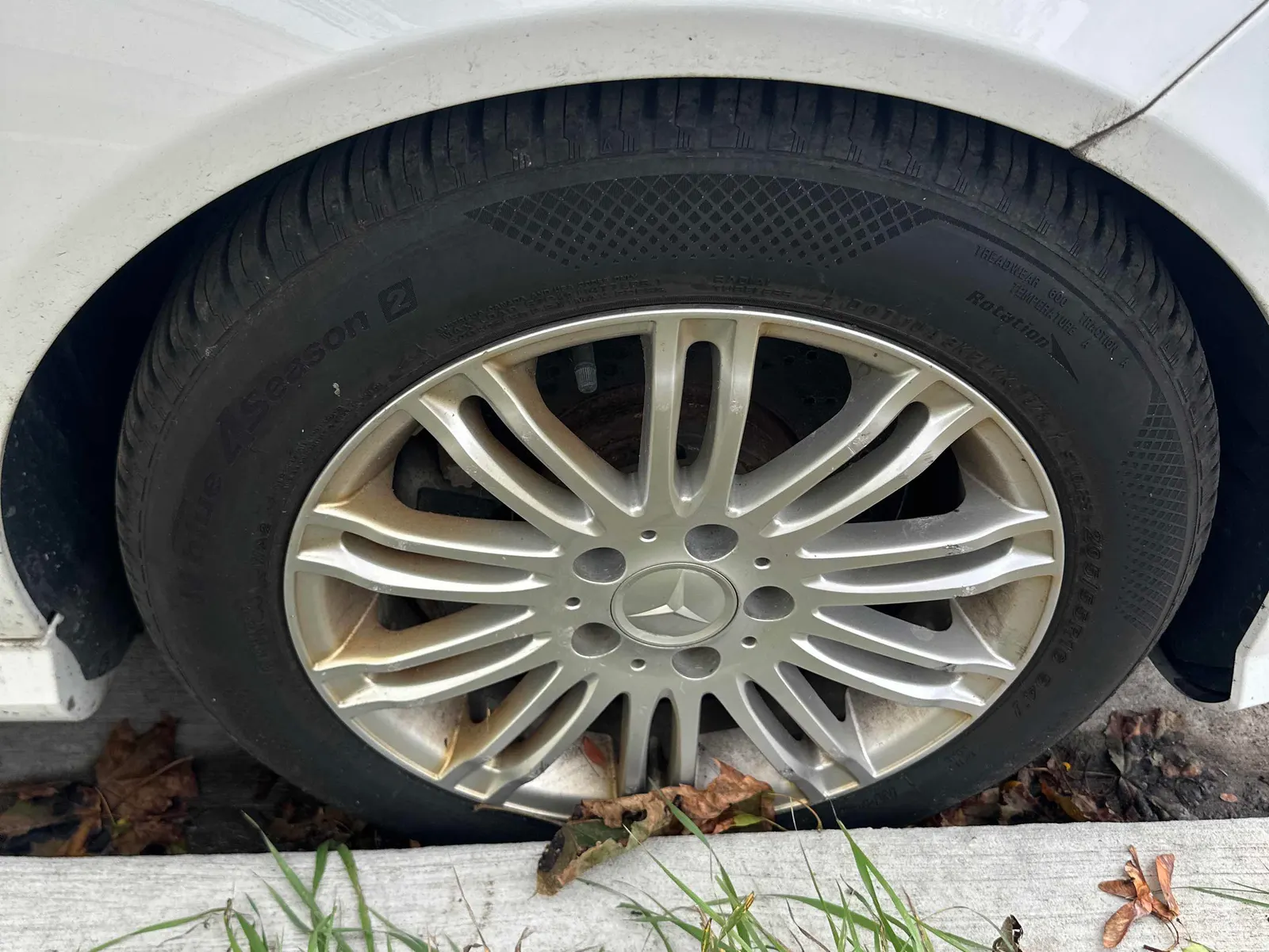 Tire